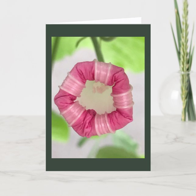 Carte Starlight Mint Morning Glory Blank (Devant)