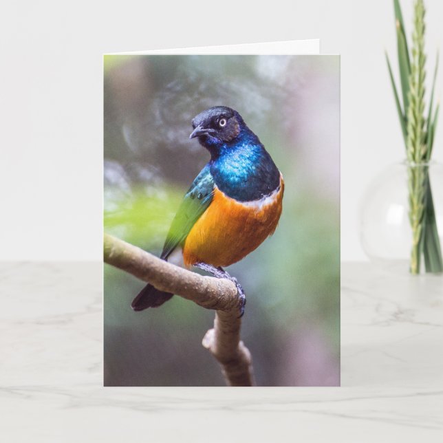 Carte Starling Bird assis sur le membre de l'arbre (Devant)