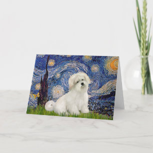 Carte Starry Night - Coton de Tulear 7