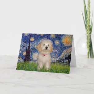 Carte Starry Night - Havanese Puppy