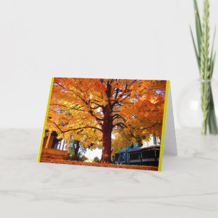 Carte Stately Tree Autumn Tree