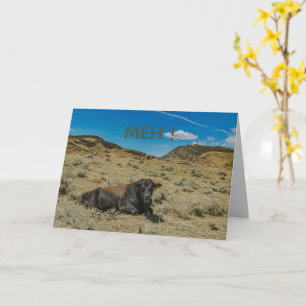 Carte STEER bouche de vache dit MEH à la montagne de fun
