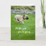 Carte Step Brother, 50 e anniversaire Puppy Running<br><div class="desc">Ton frère à pas mérite un sourire pour son anniversaire. Envoyez-lui cette carte mignonne et drôle avec ce chiot qui court si vite depuis les années pour l'attraper. C'est une façon parfaite d'apporter l'humour avec vos souhaits chaleureux à son 50e anniversaire.</div>