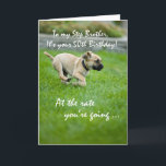 Carte Step Brother, 50 e anniversaire Puppy Running<br><div class="desc">Ton frère à pas mérite un sourire pour son anniversaire. Envoyez-lui cette carte mignonne et drôle avec ce chiot qui court si vite depuis les années pour l'attraper. C'est une façon parfaite d'apporter l'humour avec vos souhaits chaleureux à son 50e anniversaire.</div>