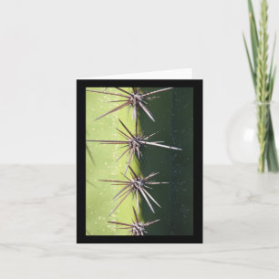 Carte Stickers verticaux de fermeture de cactus épineux