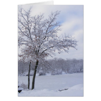 Carte Sticky Snow 24 ~ Carte