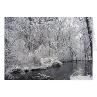 Carte Sticky Snow 27 ~ Carte