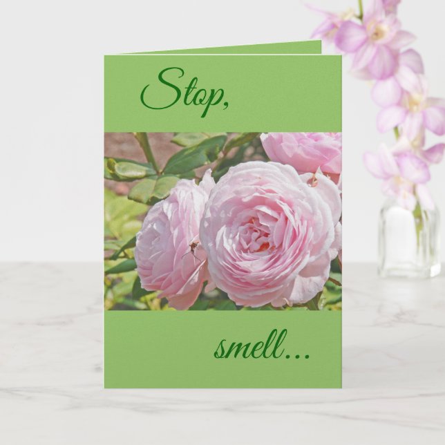 CARTE "STOP...SMELL...AND REMEMBER THE ROSE'S SWEET ..." (Orchidée)
