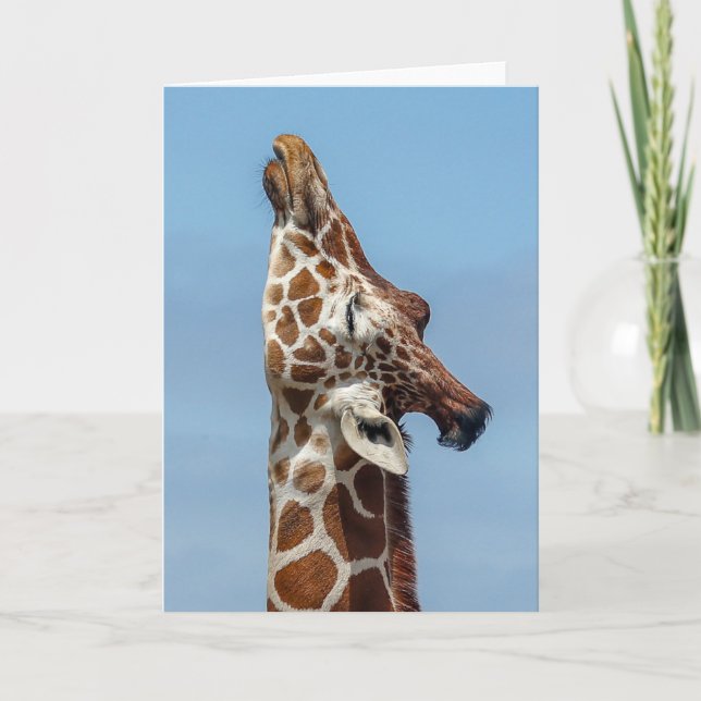 Carte Stretching Giraffe Card (Devant)