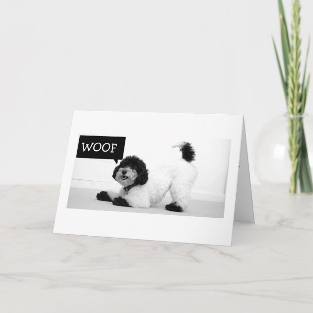 CARTE STRETCHING PUP VEUT SAUTER POUR JOY BANTHDAN CARD (Devant)