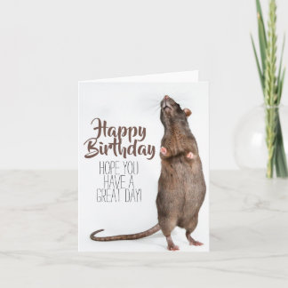 Carte Stretchy Rat Birthday Card