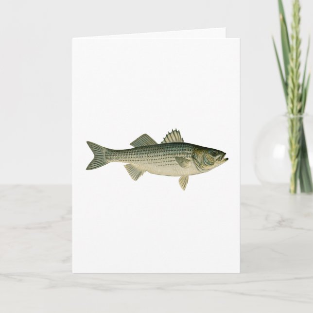 Carte Striped Bass Logo (Devant)