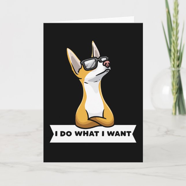 Carte Stubborn Podenco (Devant)