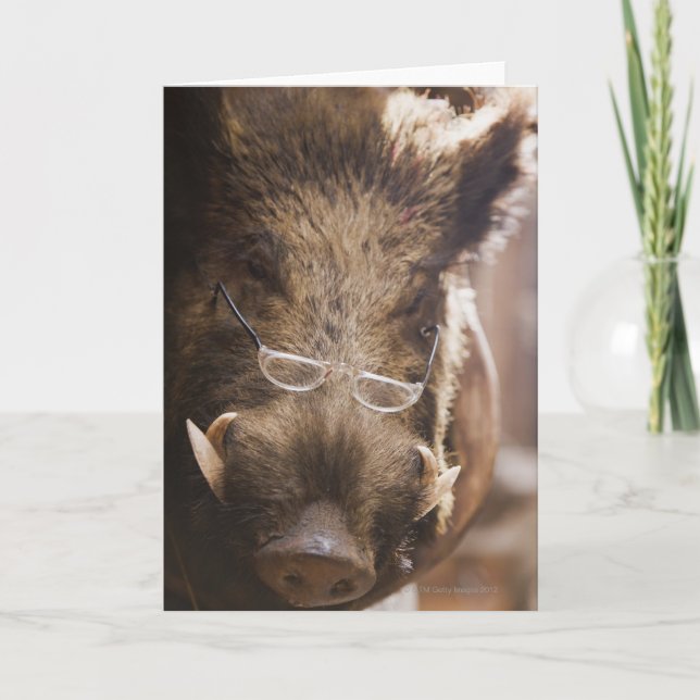 Carte Stuffed Wild Boar Wearing Glasses Outside (Devant)