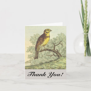 Carte Style vintage, Oiseau sur une branche, "Merci !"