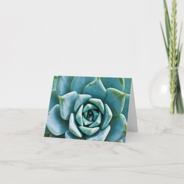 Carte Succulent (Devant)