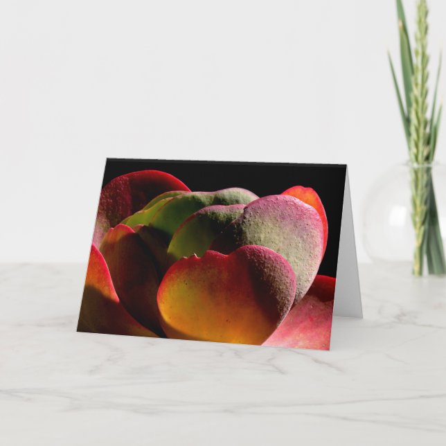 Carte Succulent Plante du désert (Devant)