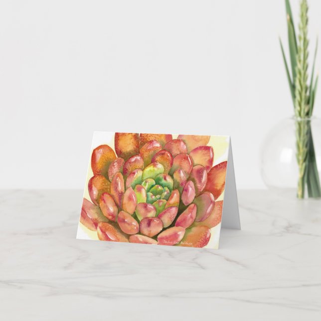 Carte Succulent Sedeveria 'Pink Ruby' watercolor by DLB (Devant)