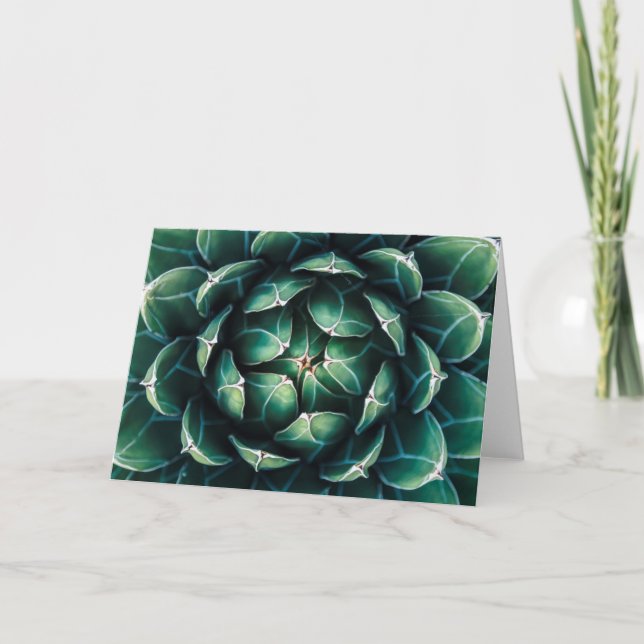 Carte Succulent vert et blanc (Devant)