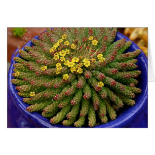 Carte succulente d'euphorbe par Debra Lee Baldwin