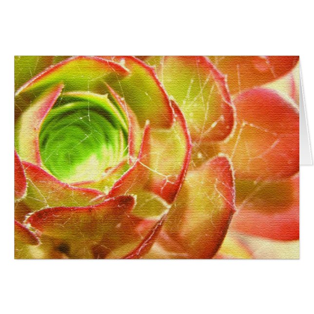 carte succulents sur le Web (Devant horizontal)