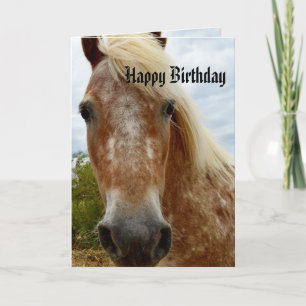 Carte Sucre L'Anniversaire Du Cheval Appaloosa