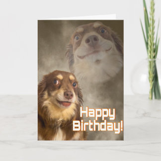 Carte Suis-je le drame ?