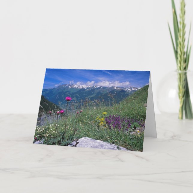 Carte suisse d'Alpes (Devant)