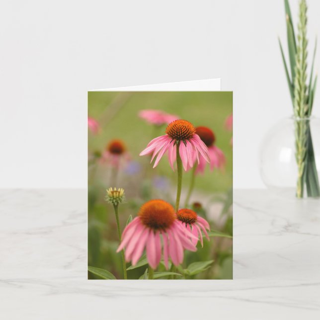 Carte Summer en Bohemia (Devant)