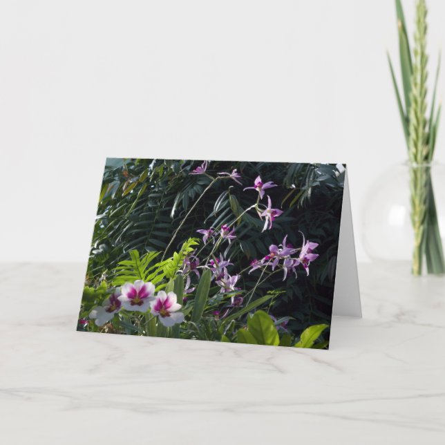 Carte Sun a tacheté des orchidées (Devant)