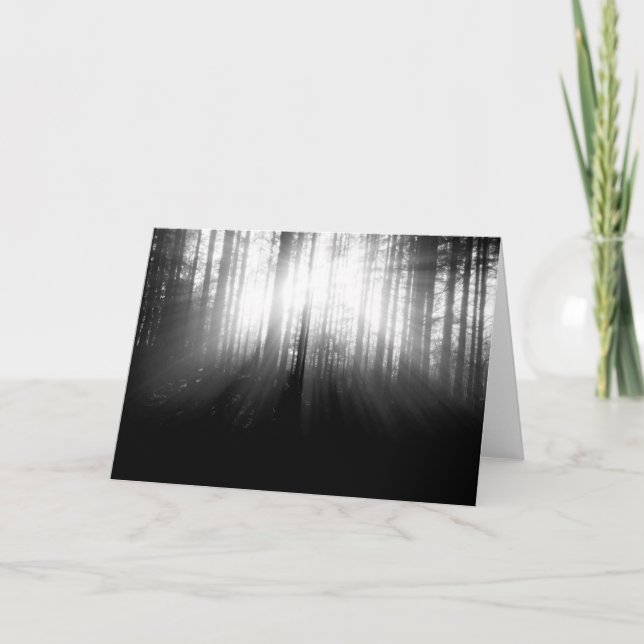 Carte Sun brillant par des arbres dans la forêt (Devant)