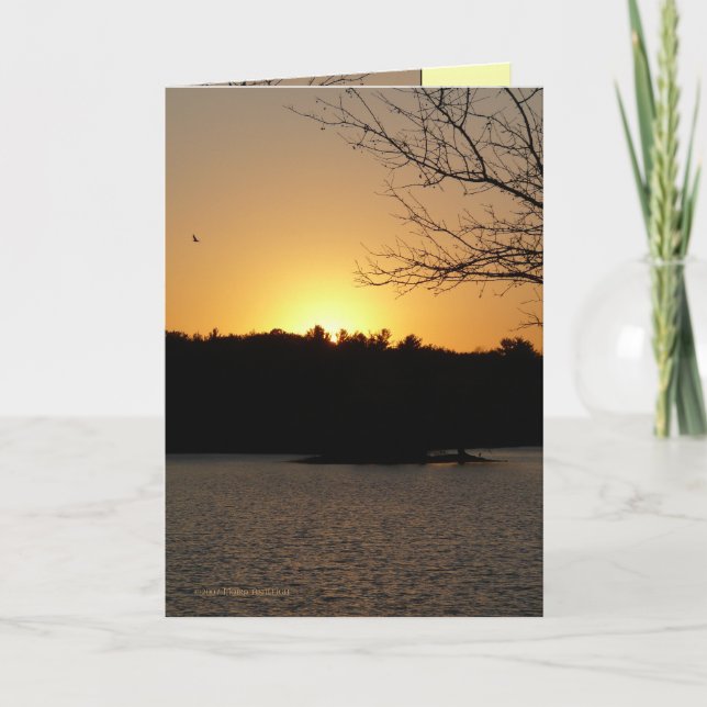 Carte Sun vers le bas (Devant)