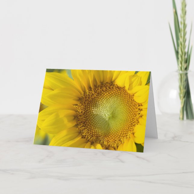 Carte Sunflower (Devant)