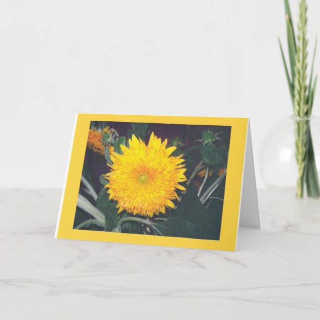 CARTE SUNFLOWER (Devant)