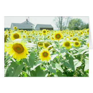 Carte Sunflower