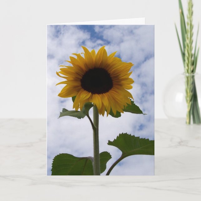 Carte Sunflower (Devant)