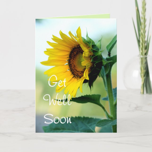 Carte Sunflower 703 (Devant)