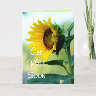 Carte Sunflower 703