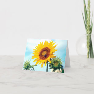 Carte Sunflower Blue Sky