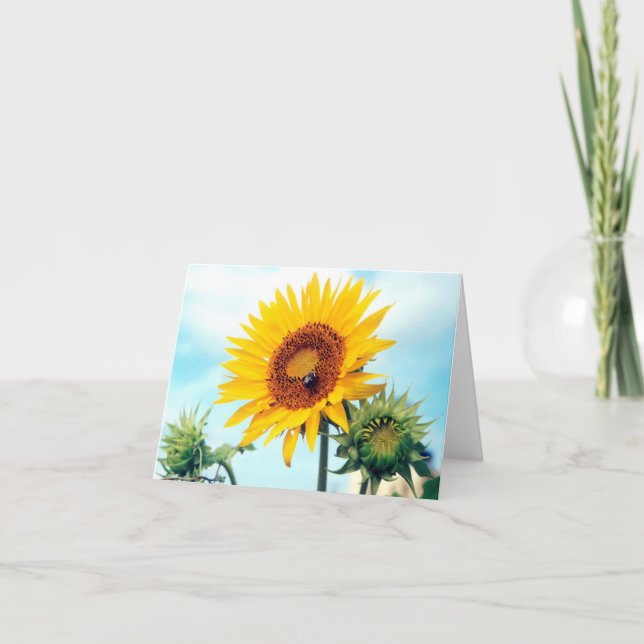 Carte Sunflower Blue Sky (Devant)