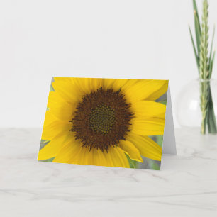 Carte Sunflower Dark Center