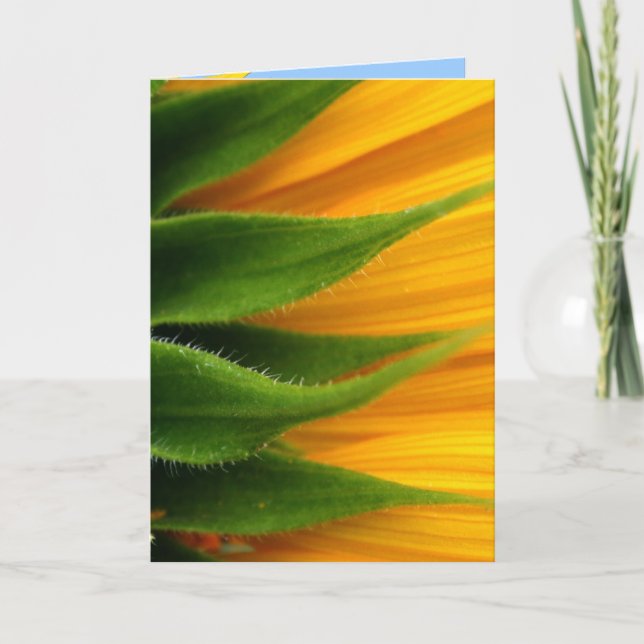 Carte Sunflower Get Well Card (Devant)