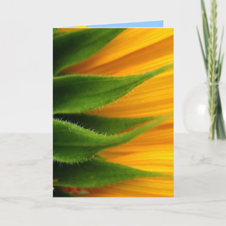 Carte Sunflower Get Well Card