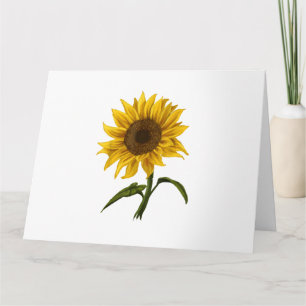 Carte Sunflower Sunshine Floral Aquarelle Fleur