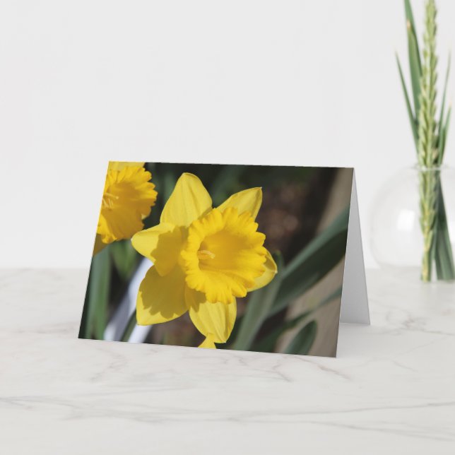 Carte Sunny Daffodil (Devant)