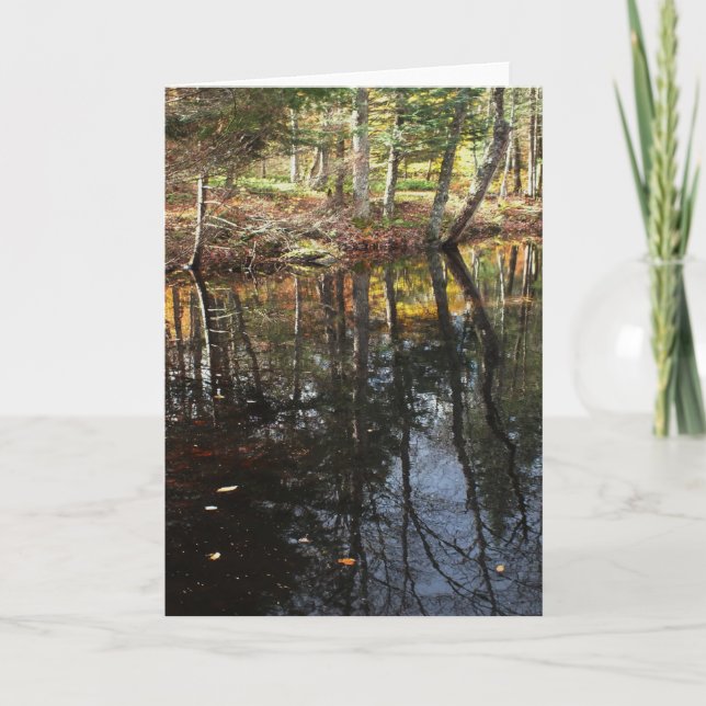 Carte "Sunny Fall Day" Adirondack Forest and Trees Scene (Devant)