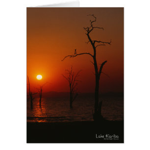 Carte Sunset du lac Kariba