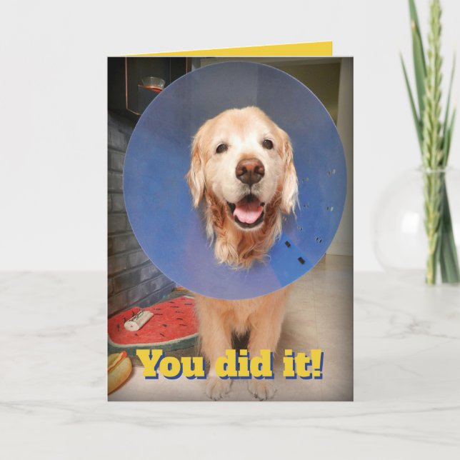 Carte Super Golden Retriever Avec Cone- Félicitations Co (Devant)
