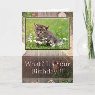 Carte Super Suprised Joyeux Anniversaire Kitten Photo