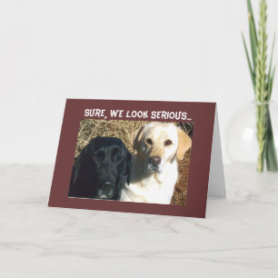 CARTE SUPPLIE DE FRIANDISES BIENTÔT VOEUX DE BONNE SANTÉ